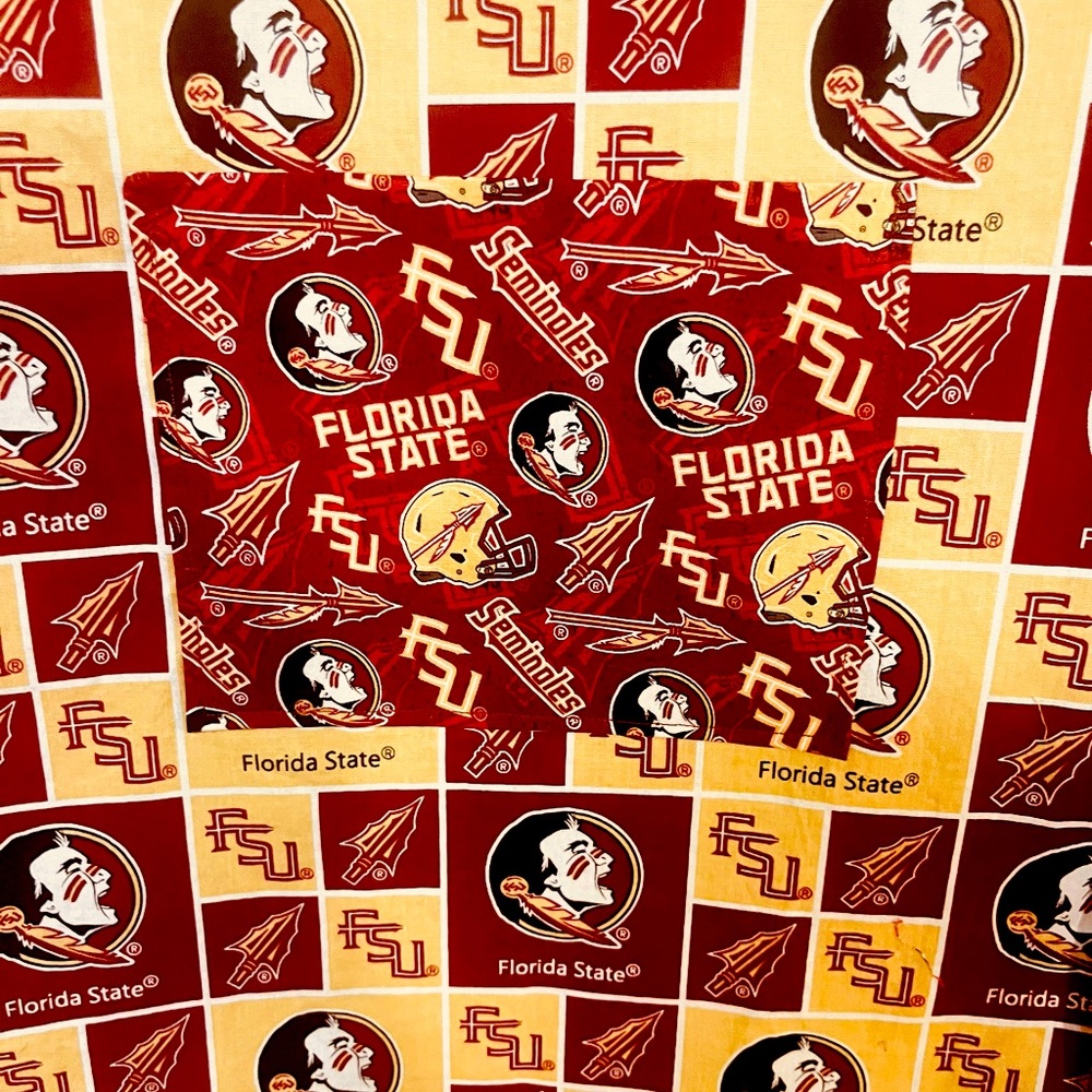 FSU ADULT APRON